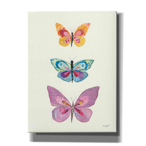 Image of 'Butterfly Charts III' by Courtney Prahl, Canvas Wall Art