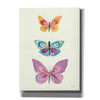 'Butterfly Charts III' by Courtney Prahl, Canvas Wall Art