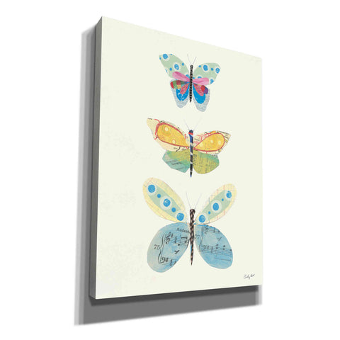 Image of 'Butterfly Charts IV' by Courtney Prahl, Canvas Wall Art