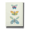 'Butterfly Charts IV' by Courtney Prahl, Canvas Wall Art