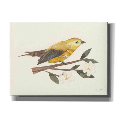 Image of 'Birds and Blossoms I' by Courtney Prahl, Canvas Wall Art