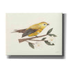 'Birds and Blossoms I' by Courtney Prahl, Canvas Wall Art