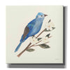 'Birds and Blossoms III' by Courtney Prahl, Canvas Wall Art