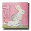 'Rabbit Family' by Courtney Prahl, Canvas Wall Art