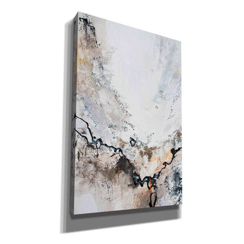 Image of 'Black and White Series 8' by Jennifer Gardner, Canvas Wall Art