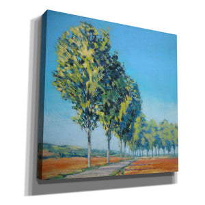 'Normandy Poplars II' by Jennifer Gardner, Canvas Wall Art