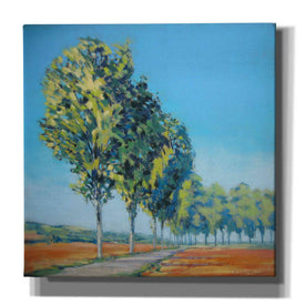'Normandy Poplars II' by Jennifer Gardner, Canvas Wall Art