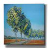 'Normandy Poplars II' by Jennifer Gardner, Canvas Wall Art