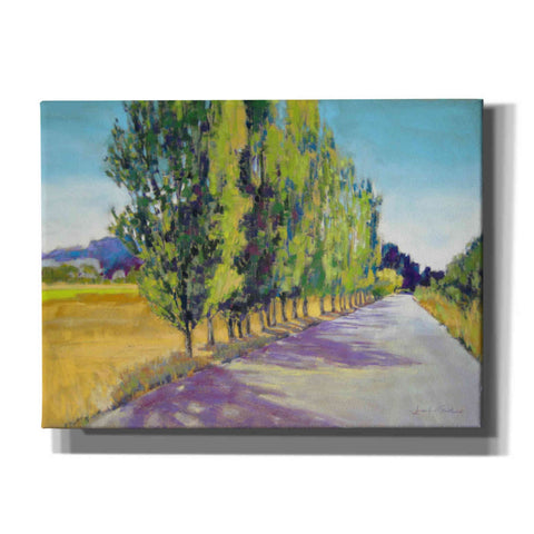 Image of 'Backlit Poplars Provence' by Jennifer Gardner, Canvas Wall Art