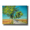 'Avenue of Trees Champagne France IV' by Jennifer Gardner, Canvas Wall Art