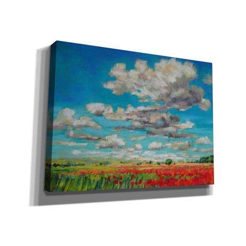 Image of 'Summer Clouds and Poppies' by Jennifer Gardner, Canvas Wall Art
