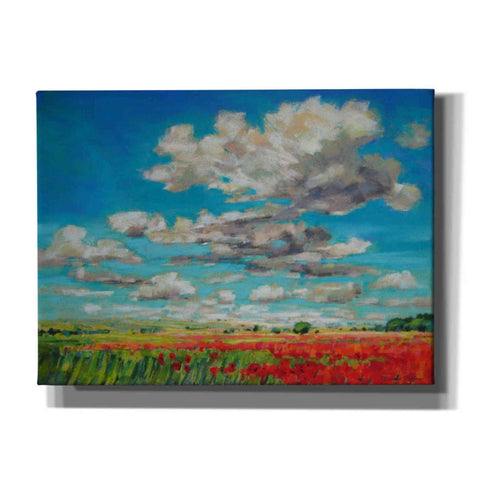 Image of 'Summer Clouds and Poppies' by Jennifer Gardner, Canvas Wall Art