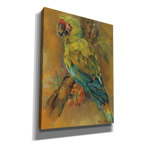 'Tropical Bird' by Marilyn Hageman, Canvas Wall Art