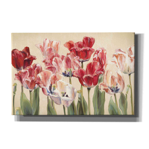 Image of 'Crimson Tulips on Ivory' by Marilyn Hageman, Canvas Wall Art