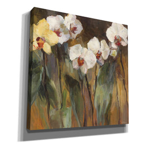 'Wild Orchids III' by Marilyn Hageman, Canvas Wall Art