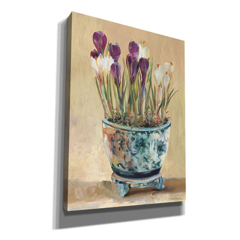 Image of 'Potted Crocus' by Marilyn Hageman, Canvas Wall Art