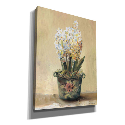 Image of 'Potted Hyacinths' by Marilyn Hageman, Canvas Wall Art