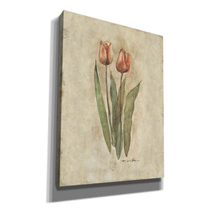 'Sprintime Tulips' by Marilyn Hageman, Canvas Wall Art