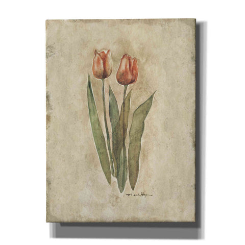 Image of 'Sprintime Tulips' by Marilyn Hageman, Canvas Wall Art