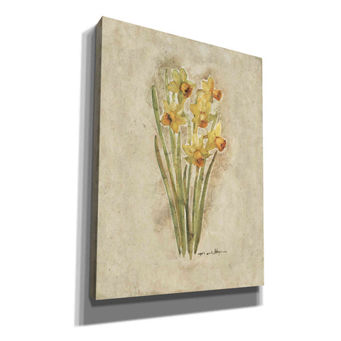 Image of 'Springtime Daffodils' by Marilyn Hageman, Canvas Wall Art
