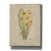 'Springtime Daffodils' by Marilyn Hageman, Canvas Wall Art
