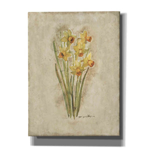 'Springtime Daffodils' by Marilyn Hageman, Canvas Wall Art