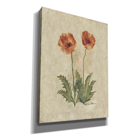 Image of 'Springtime Poppies' by Marilyn Hageman, Canvas Wall Art