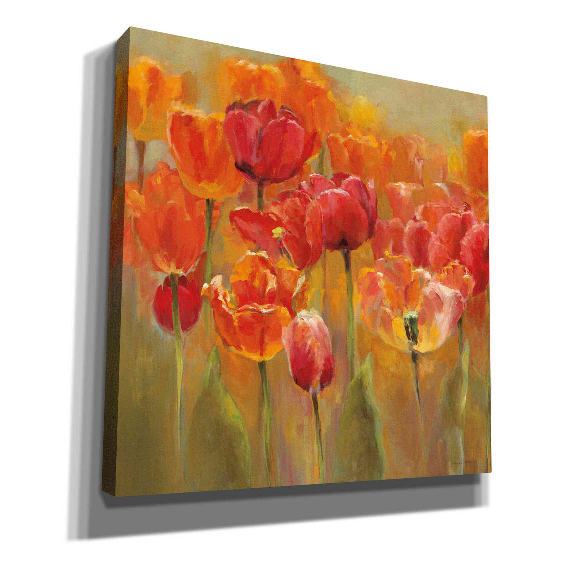 'Tulips in the Midst III Square' by Marilyn Hageman, Canvas Wall Art