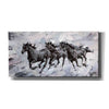 'Gallop' by Alexander Gunin, Canvas Wall Art,Size 2 Landscape