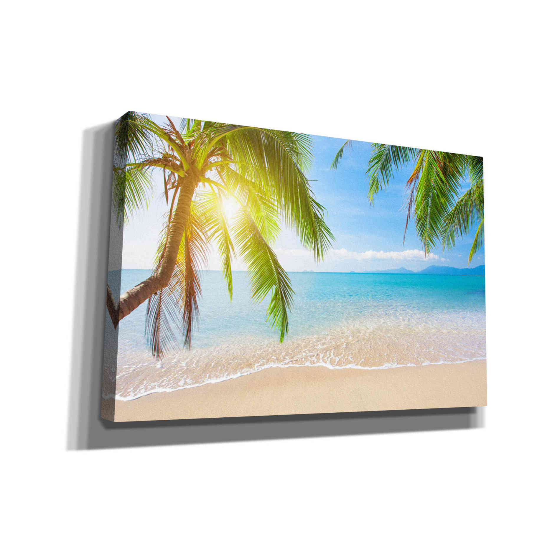 'Far Away,' Canvas Wall Art