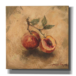 'Gilted Peaches' by Marilyn Hageman, Canvas Wall Art
