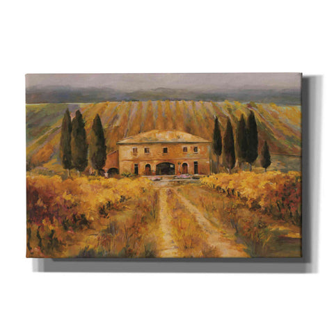 Image of 'Toscana Vigna Special' by Marilyn Hageman, Canvas Wall Art