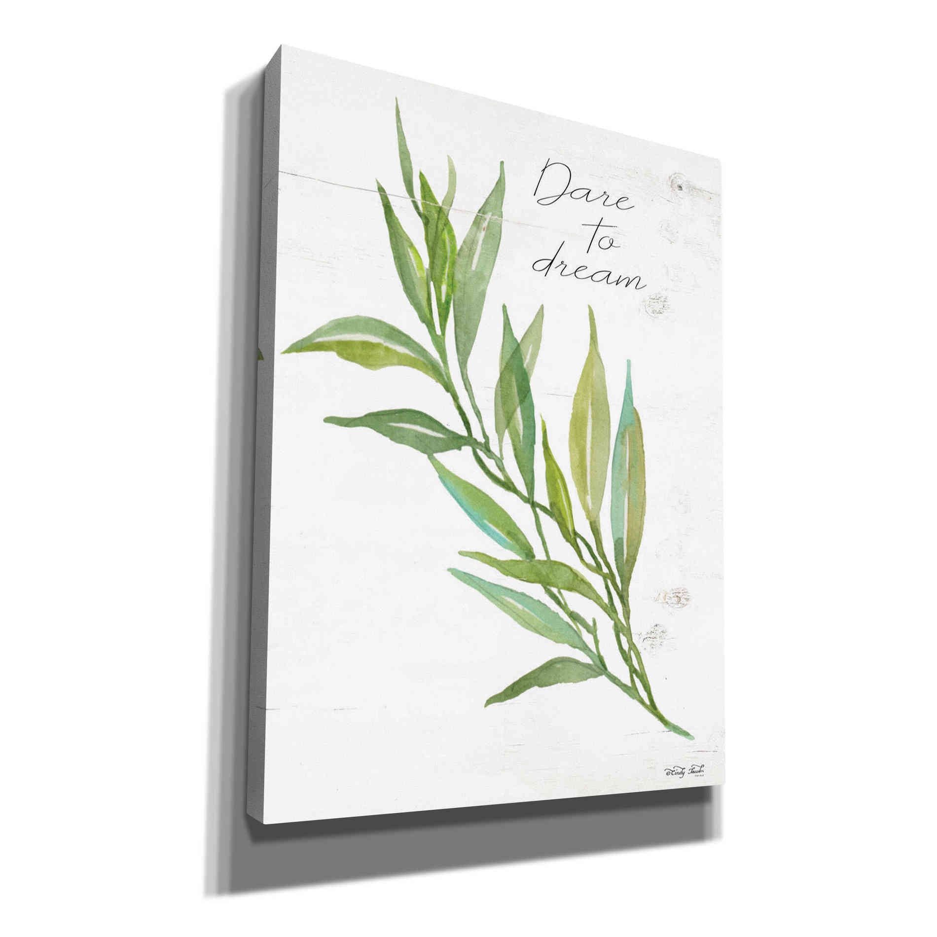 'Dare to Dream' by Cindy Jacobs, Canvas Wall Art