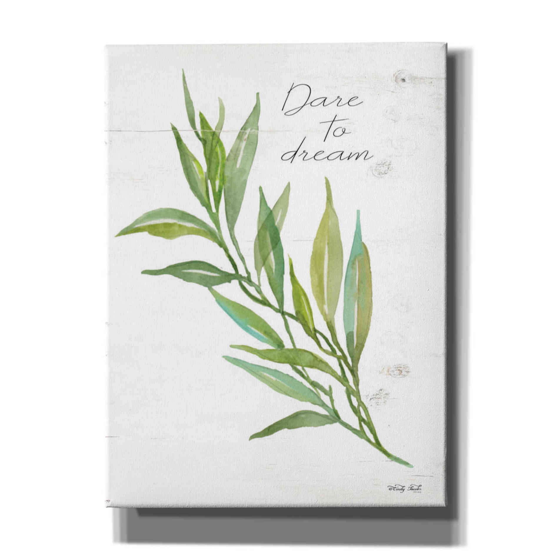 'Dare to Dream' by Cindy Jacobs, Canvas Wall Art