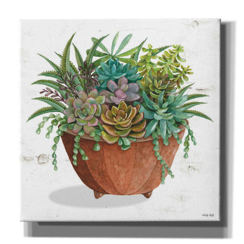 Image of 'Terracotta Succulents I' by Cindy Jacobs, Canvas Wall Art