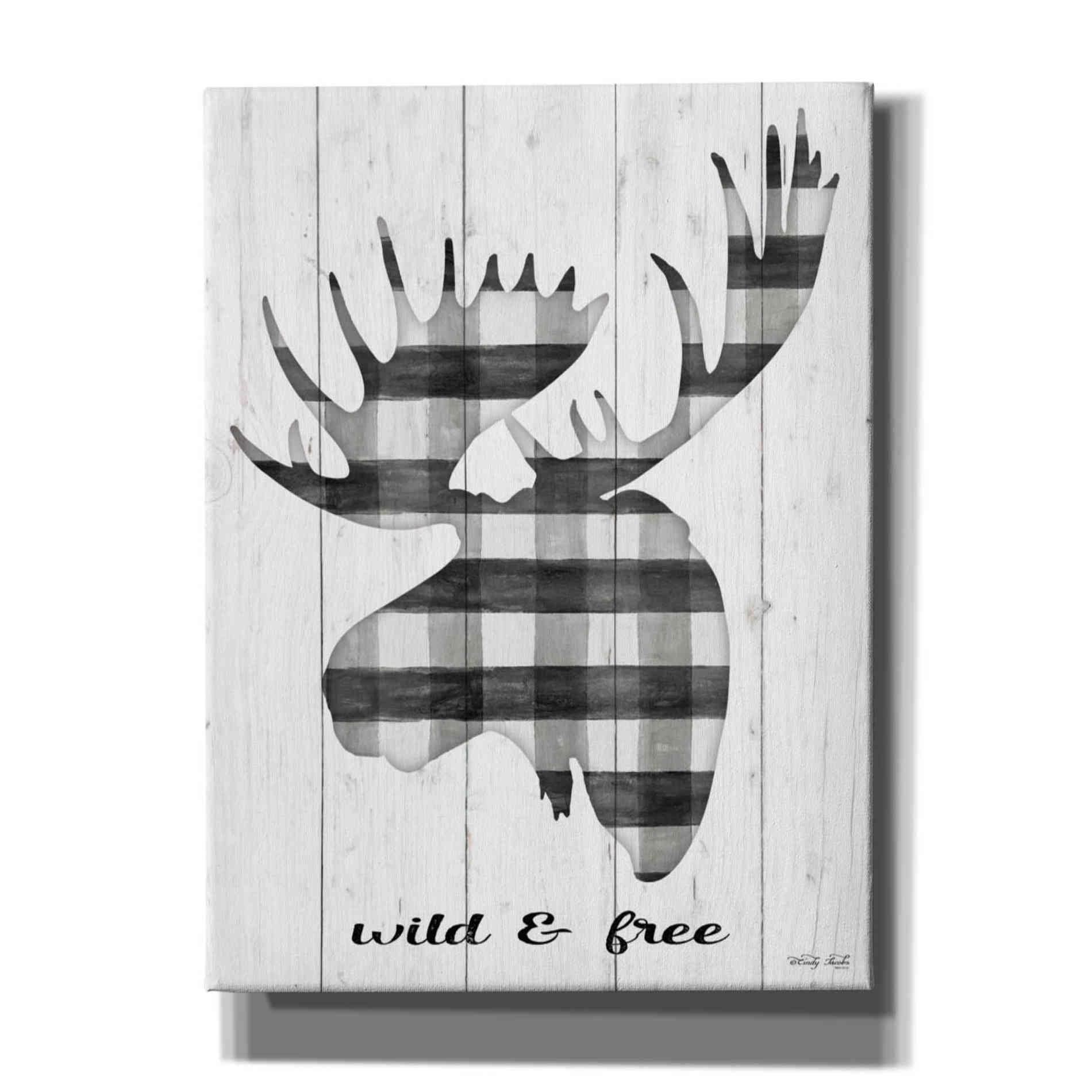 'Wild & Free' by Cindy Jacobs, Canvas Wall Art