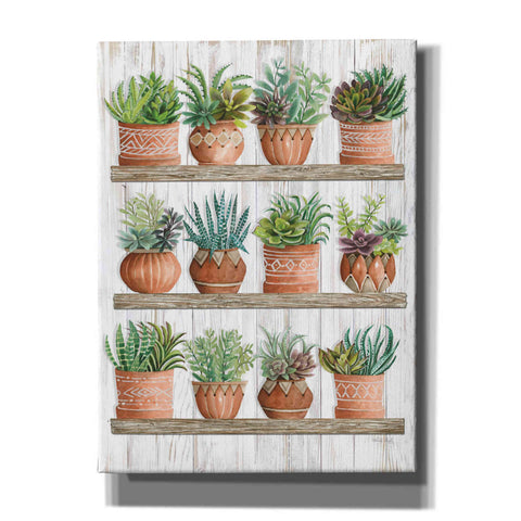 Image of 'Succulents on Shelves' by Cindy Jacobs, Canvas Wall Art