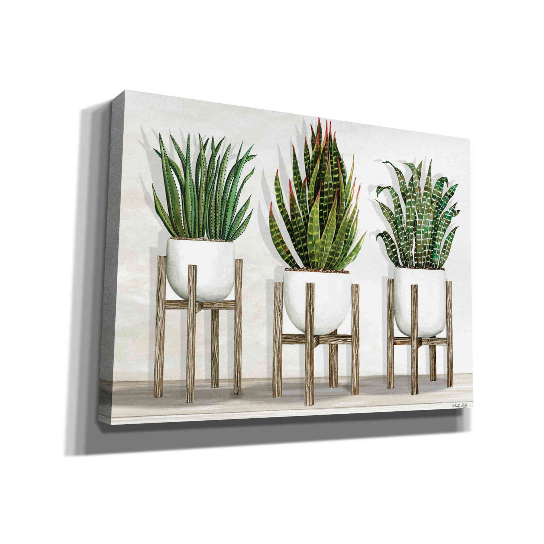 'White Pots on Stands I' by Cindy Jacobs, Canvas Wall Art