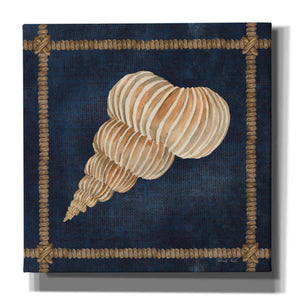 'Seashell on Navy III' by Cindy Jacobs, Canvas Wall Art