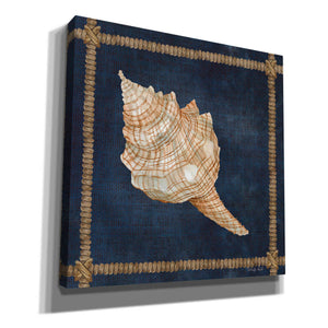'Seashell on Navy IV' by Cindy Jacobs, Canvas Wall Art