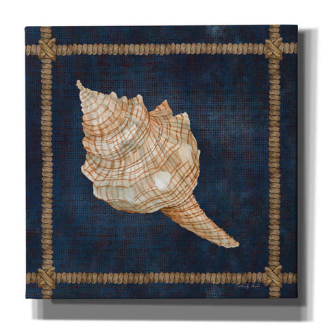 Image of 'Seashell on Navy IV' by Cindy Jacobs, Canvas Wall Art