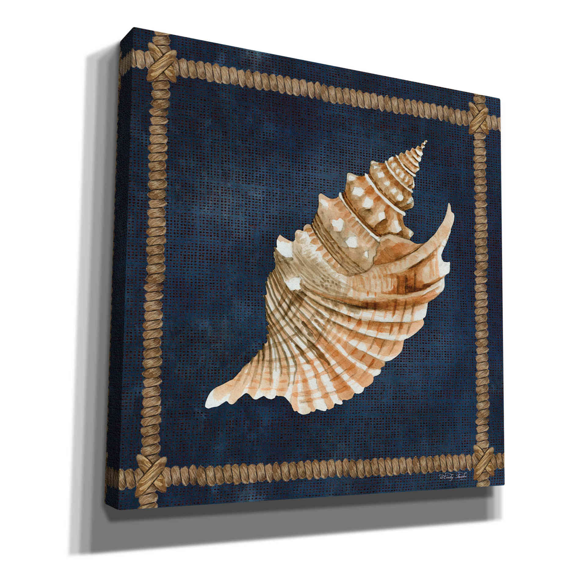 'Seashell on Navy V' by Cindy Jacobs, Canvas Wall Art