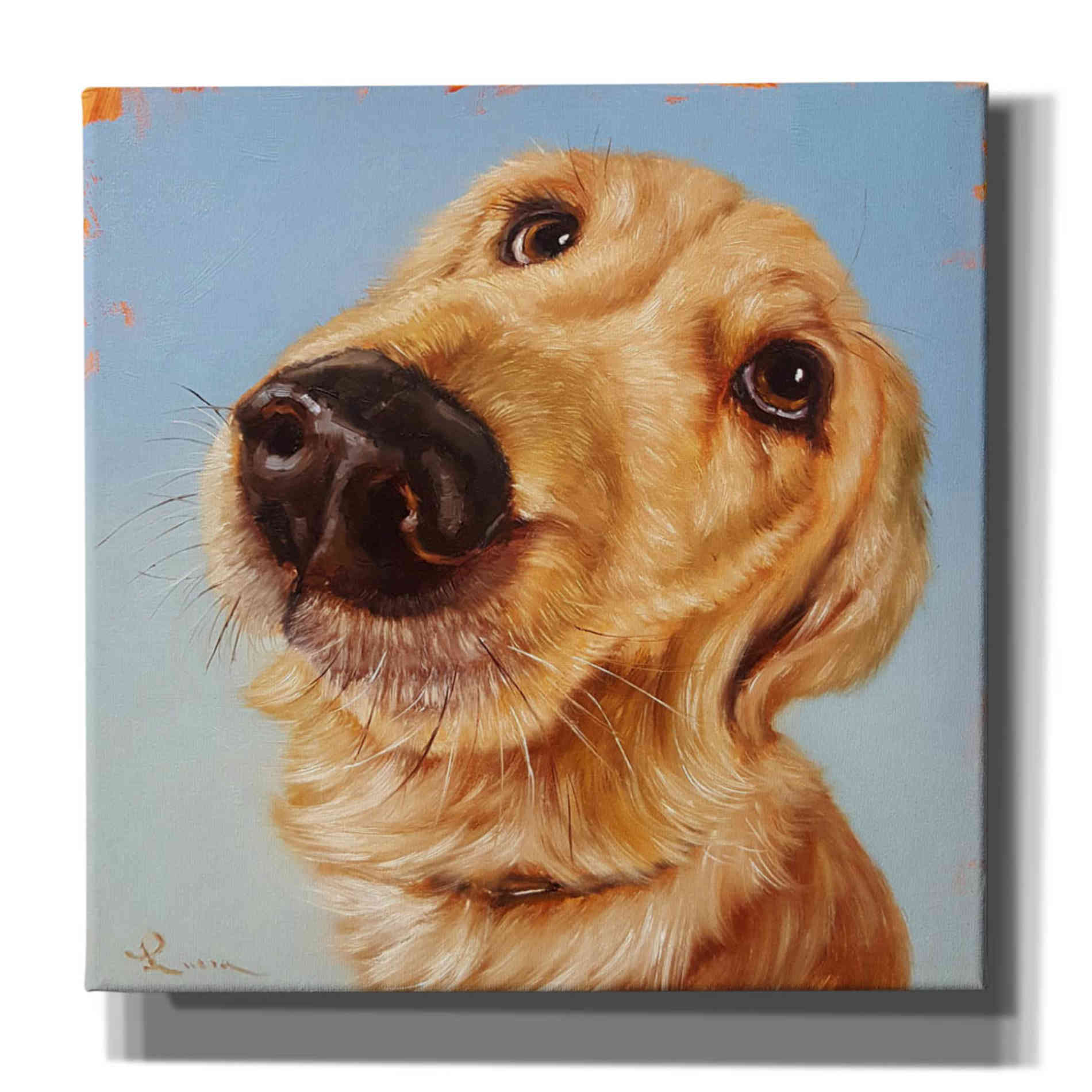 'Follow Your Nose 4' by Lucia Heffernan, Canvas Wall Art