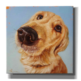 'Follow Your Nose 4' by Lucia Heffernan, Canvas Wall Art