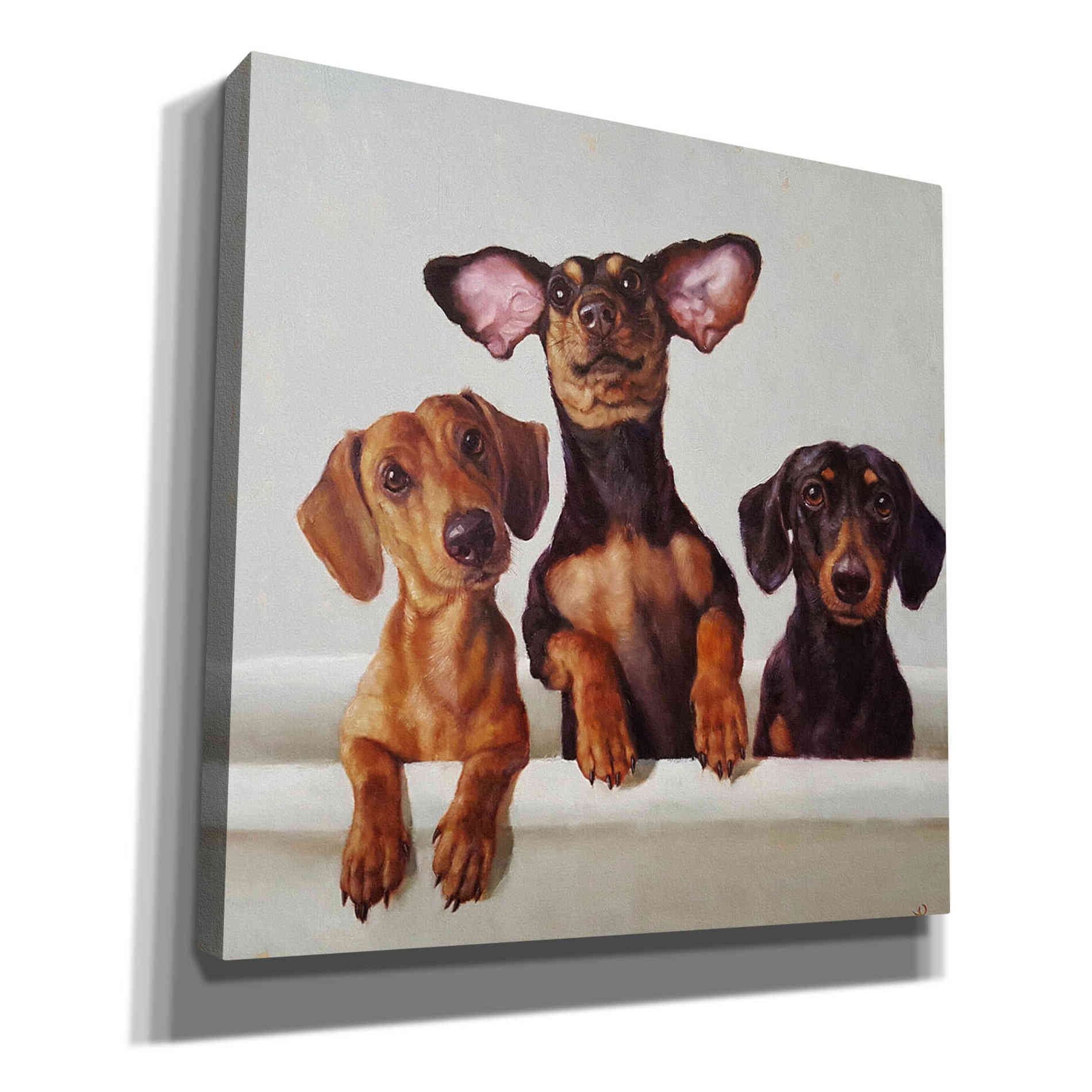 '3 Amigos' by Lucia Heffernan, Canvas Wall Art