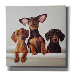 '3 Amigos' by Lucia Heffernan, Canvas Wall Art
