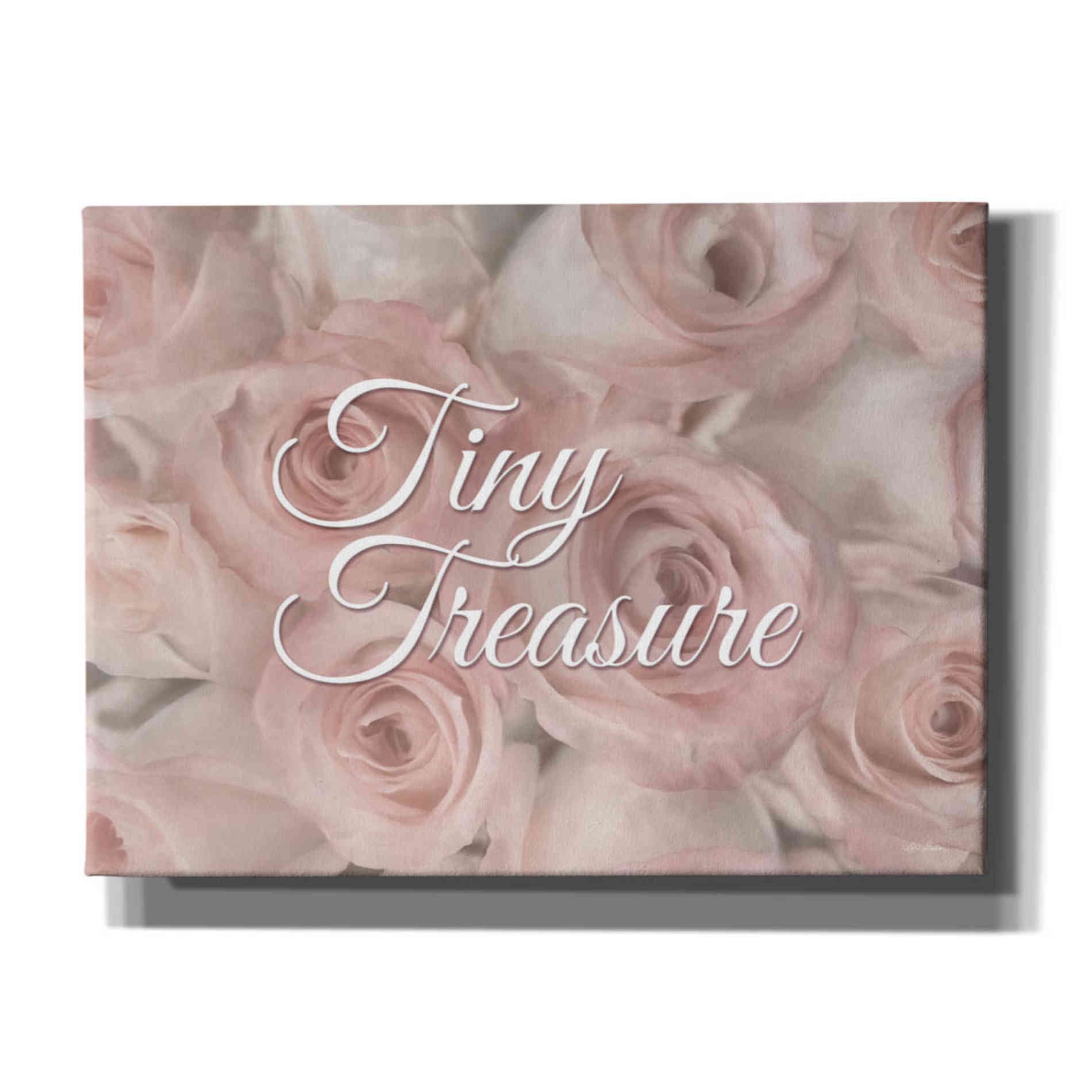 'Tiny Treasure' by Lori Deiter, Canvas Wall Art