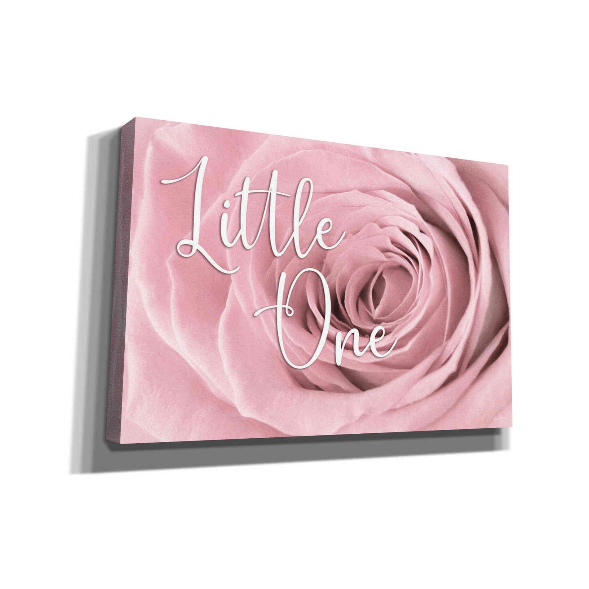 'Little One' by Lori Deiter, Canvas Wall Art
