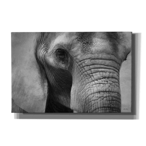 Image of 'Elephant' by Lori Deiter, Canvas Wall Art