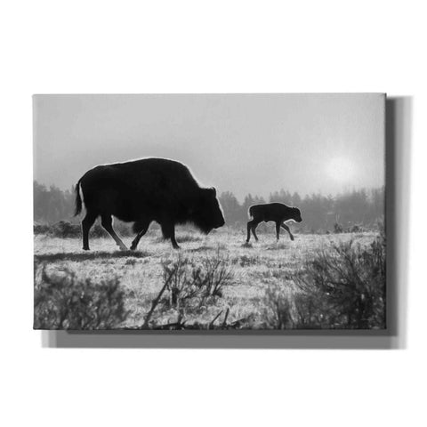Image of 'Lamar Valley Migration' by Lori Deiter, Canvas Wall Art